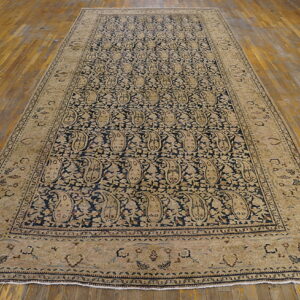 A large blue and beige rug with a repeating paisley pattern rests on a wooden floor.