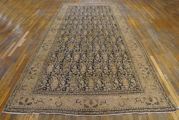 A large blue and beige rug with a repeating paisley pattern rests on a wooden floor.