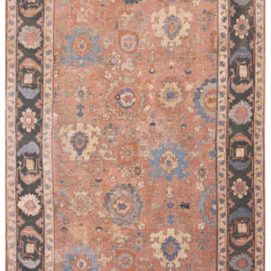 Ornate rug featuring a faded terra cotta field with blue florals and a contrasting dark patterned border.