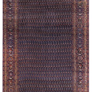Full view of a dark indigo rug with an all-over teardrop pattern and intricate red and gold borders.