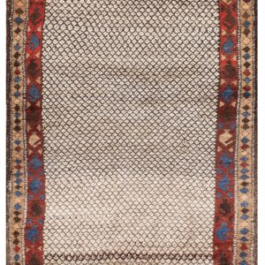 High-pile rug with a cream and dark brown geometric diamond field and thick red and blue patterned borders.