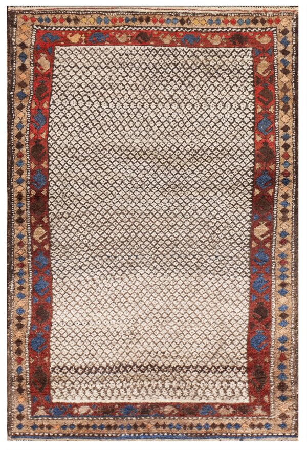 High-pile rug with a cream and dark brown geometric diamond field and thick red and blue patterned borders.