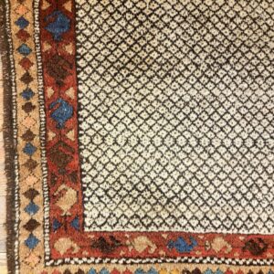 Cream and dark brown geometric rug corner with thick rust, blue, and tan patterned borders on wood flooring.