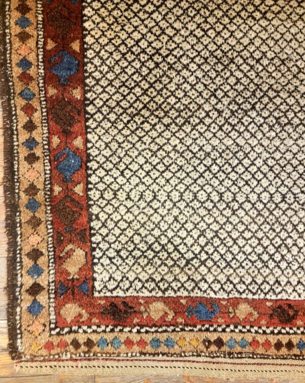 Cream and dark brown geometric rug corner with thick rust, blue, and tan patterned borders on wood flooring.