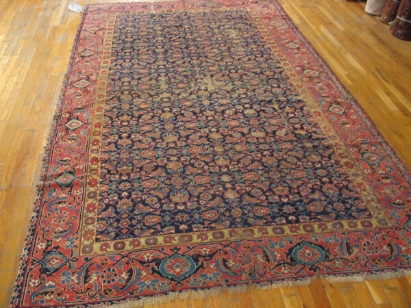 Navy blue area rug with a multicolor floral pattern and wide red borders rests on light hardwood flooring.