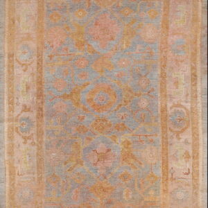 Muted, low-pile rug with blue, coral, and orange floral motifs and an intricate traditional border design.