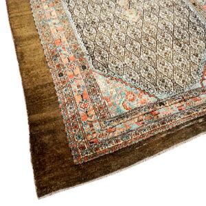 Close-up of a rug showing a dark brown border and an inner field with white, teal, and orange motifs.