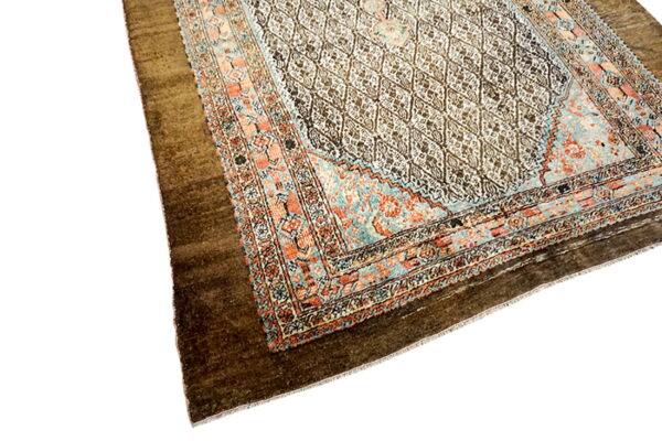 Close-up of a rug showing a dark brown border and an inner field with white, teal, and orange motifs.