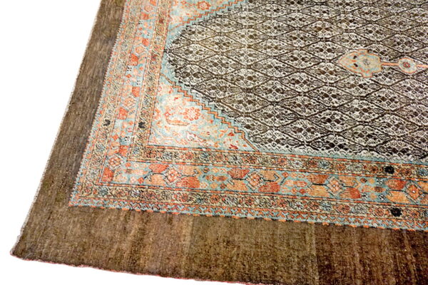 A low-pile rug corner showing a dark lattice field and a colorful aqua and orange geometric border.