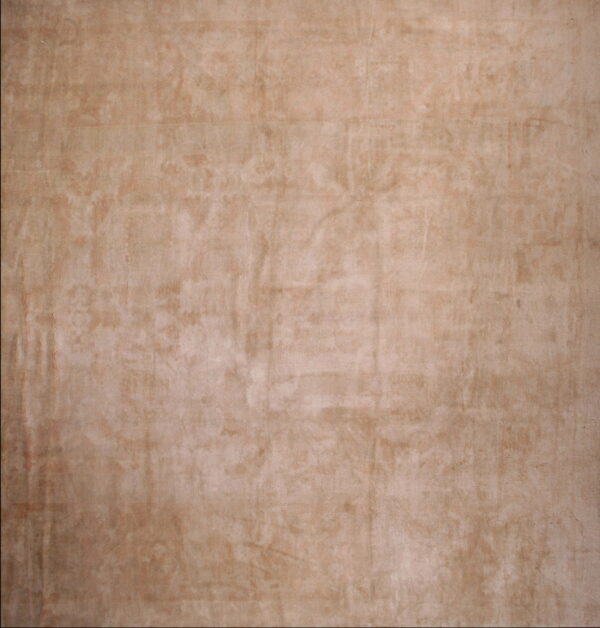 Low pile rug featuring mottled light brown and beige coloring with subtle variations in shade.