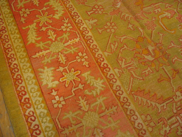 Geometric rug in olive green and faded pink has a patterned border next to wood flooring.