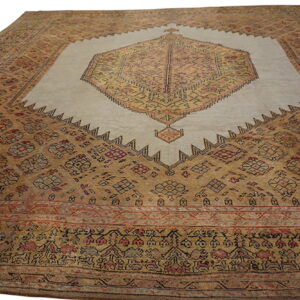 Intricate vintage wool area rug