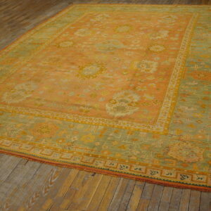 Coral and sage green patterned area rug with ornate borders shown on distressed wood flooring.