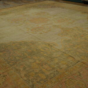 Muted traditional rug in gold, olive, and peach with a central pattern, displayed on wood flooring.
