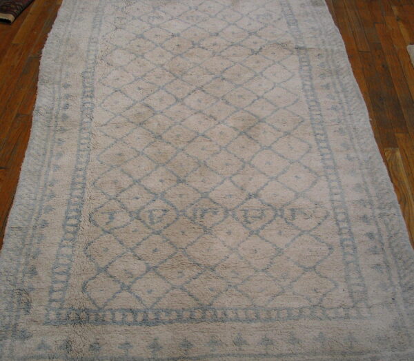 A high-pile cream runner rug with a faded blue geometric pattern rests on brown wood flooring.