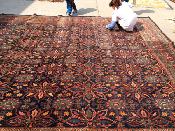 A large dark blue rug with repeating red floral motifs lies on concrete outdoors near a person.