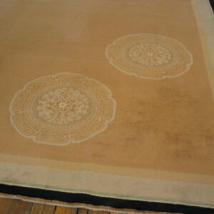 Low-pile tan area rug with cream medallions and a black and light striped border on wood flooring.