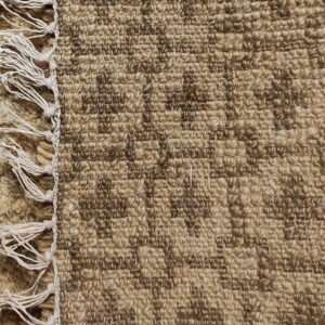A tan and brown rug edge showing shaggy pile, white knotted fringe, and a geometric looped texture.