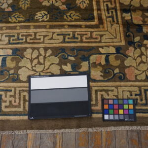 Dark olive rug with pale floral motifs and blue geometric borders rests on rustic wood flooring.