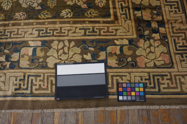 Dark olive rug with pale floral motifs and blue geometric borders rests on rustic wood flooring.