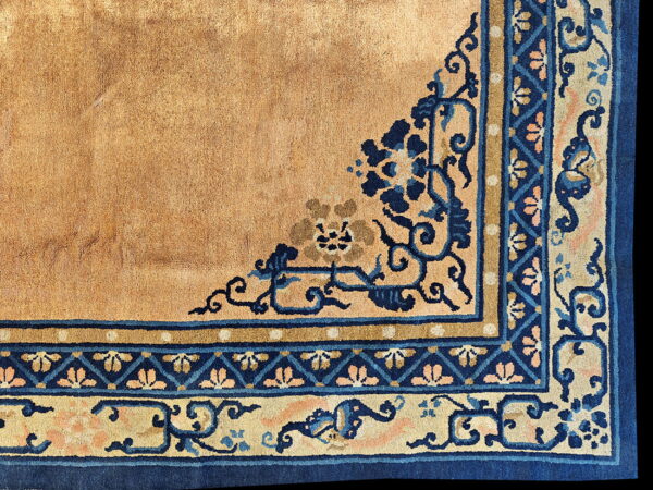 Close-up of a high pile tan rug corner with detailed deep blue and pale beige floral borders.
