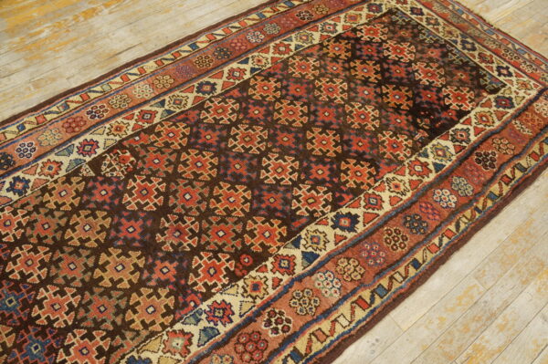 A dark brown runner rug with red, blue, and beige geometric patterns lies on light, distressed wood planks.