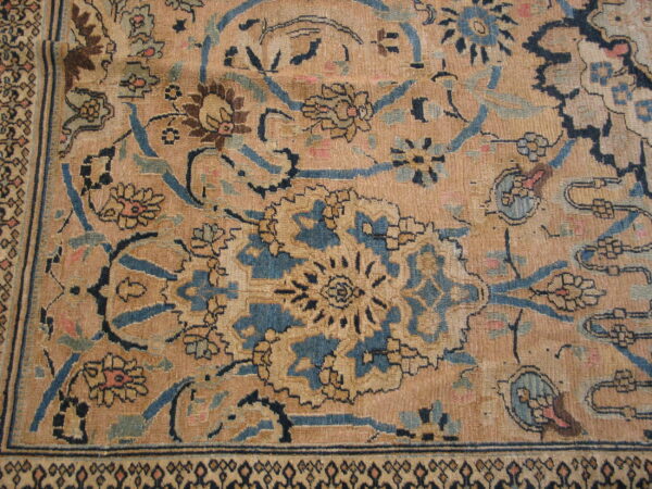 Close-up of a low-pile rug with a tan field and faded blue, brown, and pink traditional floral motifs.