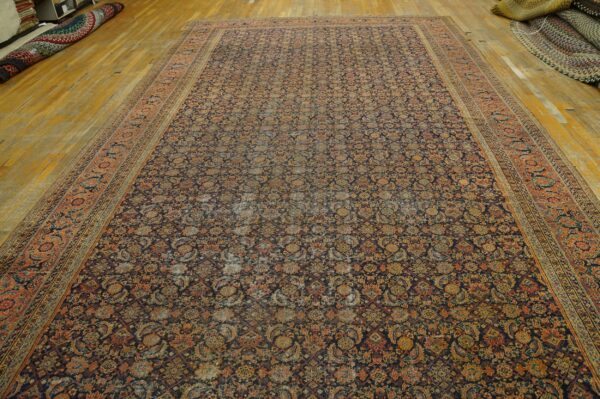 Dark patterned rug with gold and rust floral motifs features a wide coral border on light wood flooring.