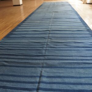 Blue striped runner rug on a glossy hardwood floor, illuminated by bright sunlight near a radiator.