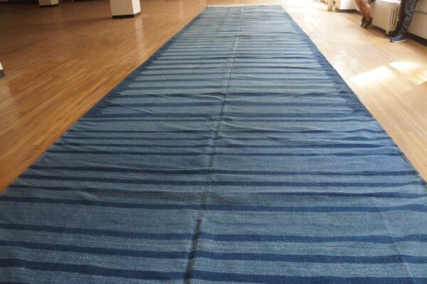 Blue striped runner rug on a glossy hardwood floor, illuminated by bright sunlight near a radiator.
