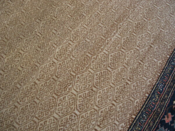 Close view of a tan and brown low-pile geometric rug next to a dark traditional border.