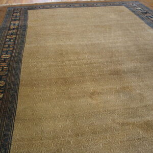 Beige patterned area rug with wide dark blue and brown geometric borders on wood plank flooring.