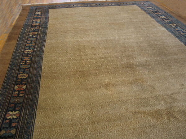 Beige patterned area rug with wide dark blue and brown geometric borders on wood plank flooring.