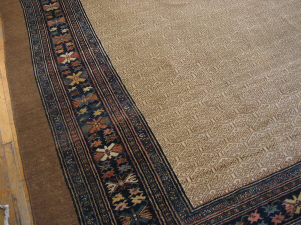 A beige rug features a tone-on-tone honeycomb pattern and a dark blue border with complex multicolored geometric motifs.