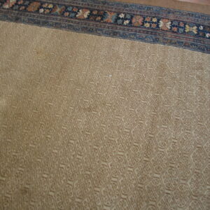 Tan rug with subtle textured geometric field pattern and a bold multicolored floral border.