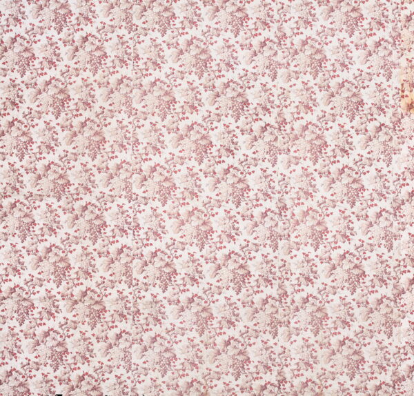 Repeating pattern of dusty pink and cream grape clusters, leaves, and vines on a flat textile.