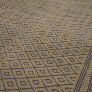 Textured tan and gray rug featuring repeating geometric diamonds, a striped border, and wooden floor boards.