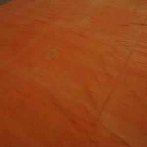 Rust-colored rug with strong color striations and a geometric blue-green border visible on two sides.