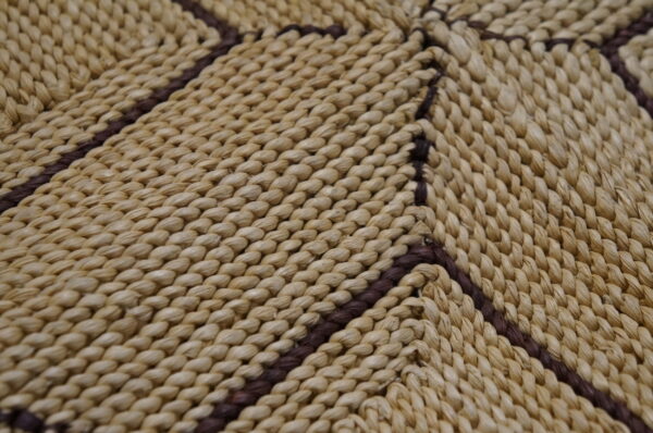 Beige braided rug texture featuring intersecting dark brown lines forming a geometric pattern.