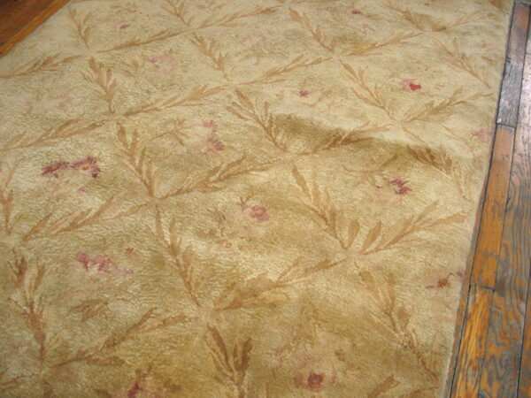 Ivory rug with floral pattern.