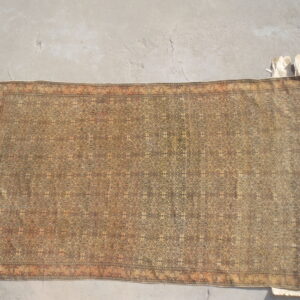 Tan and dark brown low-pile rug with repeating floral medallions displayed on a cracked concrete floor.