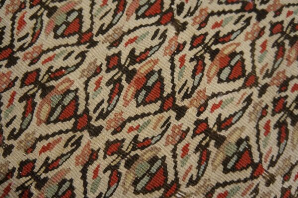 Beige rug close-up showing low pile and an abstract design outlined in dark brown with red and muted green.