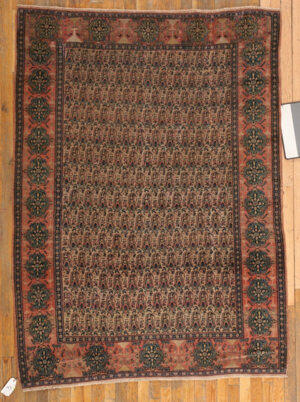 Muted tan, rust, and dark blue rug featuring a dense pattern and wide salmon border on wood floor.