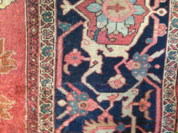 Colorful floral patterns on dark background