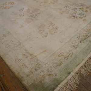 Distressed cream rug with faded floral patterns and fringe lies on dark wood flooring.