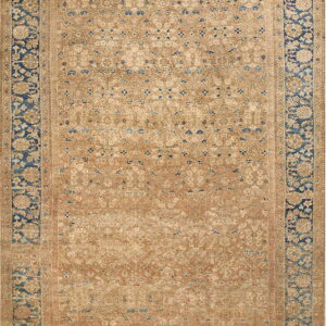 Low-pile tan area rug with faded blue floral motifs and a distinct dark blue, patterned border.