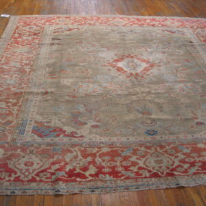 An ornate rug featuring a muted khaki field, coral medallion, and detailed red border on wood planks.