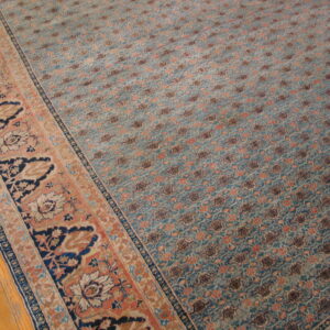 Teal and coral area rug featuring a dense repeating pattern and ornate border on visible hardwood flooring.