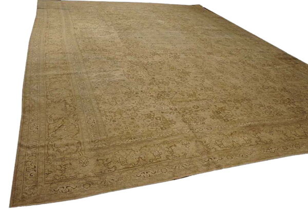 Monochromatic light brown area rug with a faded, detailed traditional border and overall field design.