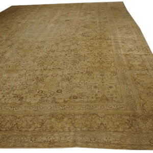 Monochromatic beige area rug with a faded traditional floral pattern and visible ornate borders.